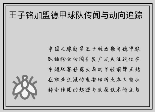 王子铭加盟德甲球队传闻与动向追踪